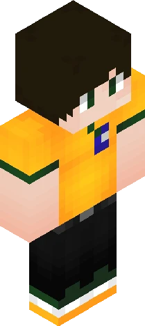 Skin 2af73b Minecraft skin preview