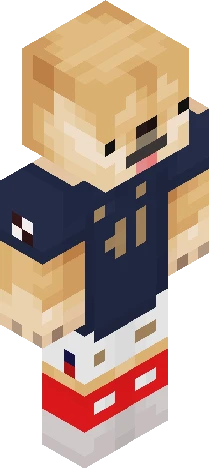 Skin 2b640c Minecraft skin preview