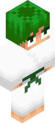 Skin 348ffc Minecraft skin preview