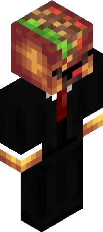 representation of a typical Minecraft skin preview