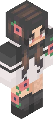 Skin 452c2e Minecraft skin preview