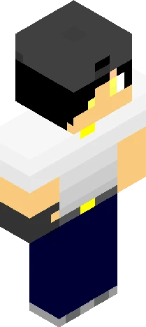 rendered in a blocky, Minecraft skin preview