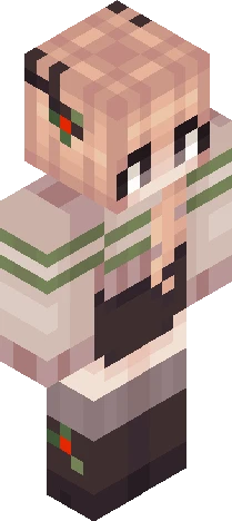 Skin 4e5071 Minecraft skin preview