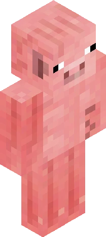 Skin 5225fd Minecraft skin preview