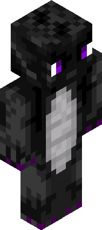 representation commonly found within Minecraft skin preview