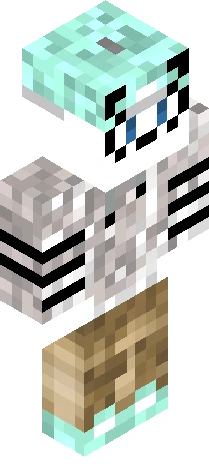 representation commonly found within Minecraft skin preview