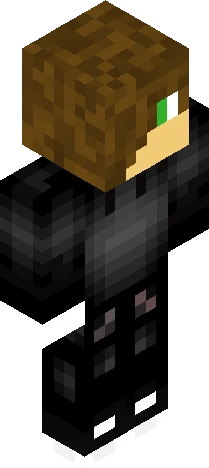simplified representation of a Minecraft skin preview
