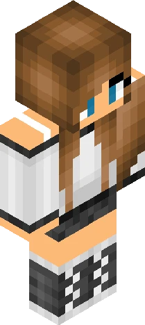 female avatar with stylized, Minecraft skin preview