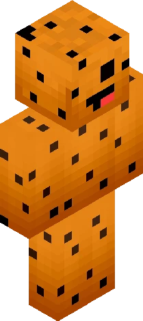 common design found in the vide Minecraft skin preview