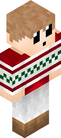 Skin 940e40 Minecraft skin preview