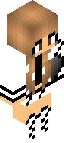 Skin 953e06 Minecraft skin preview