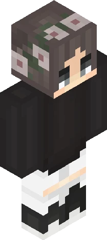 Skin 96e274 Minecraft skin preview