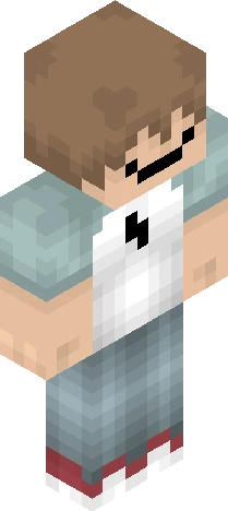 representation of a typical Minecraft skin preview