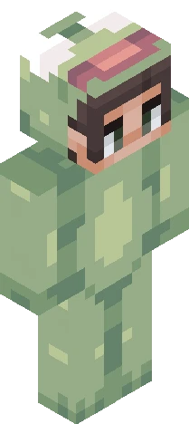 Skin a5846d Minecraft skin preview