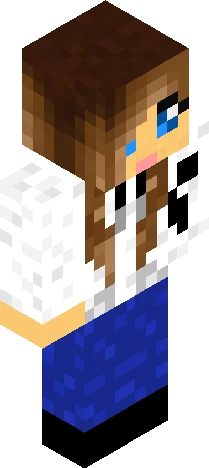 Skin aa1dcf Minecraft skin preview