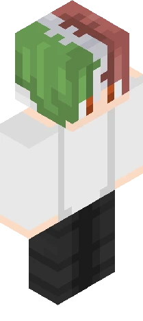 Skin ac1ddb Minecraft skin preview