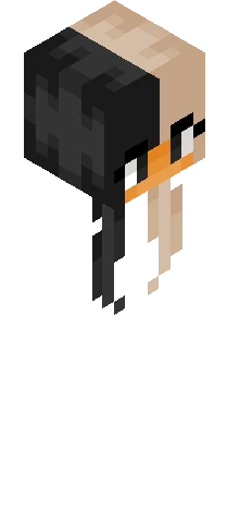 Skin ad5051 Minecraft skin preview