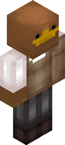 simplified representation commonly found Minecraft skin preview