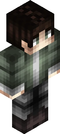 Skin ccfabd Minecraft skin preview
