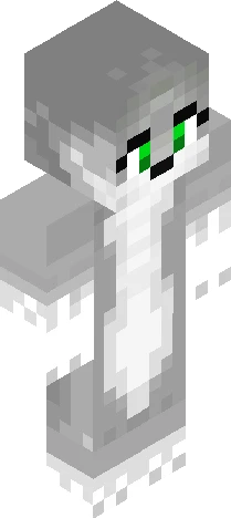 Skull Skin Minecraft skin preview