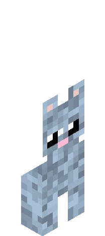 early 2000s or earlier when suc Minecraft skin preview