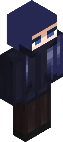 Skin d17411 Minecraft skin preview