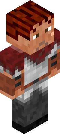 Skin d20dd8 Minecraft skin preview