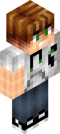 Skin dd8169 Minecraft skin preview