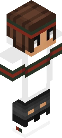 Skin e08755 Minecraft skin preview