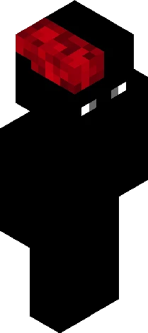 Skin e565c5 Minecraft skin preview