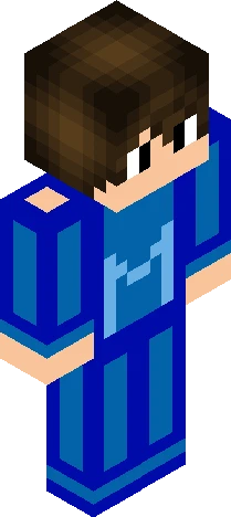 rendered in a simplistic, Minecraft skin preview