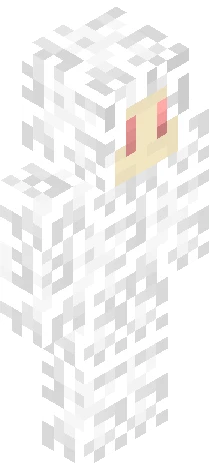 Skin fe57b1 Minecraft skin preview