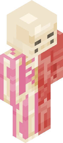 Anatomy Minecraft skin preview