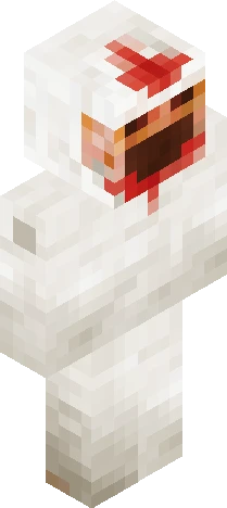 chicken thing. what the hell is this bro Minecraft skin preview