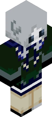 checkibg Minecraft skin preview