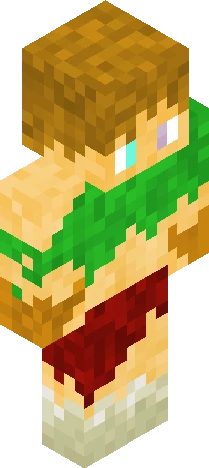 End Druid Minecraft skin preview