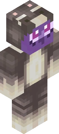 Nova Raccoon Minecraft skin preview