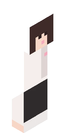 zsfasdf Minecraft skin preview
