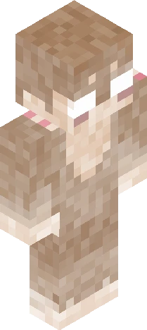 wawa - brown Minecraft skin preview