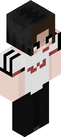 wdwd Minecraft skin preview